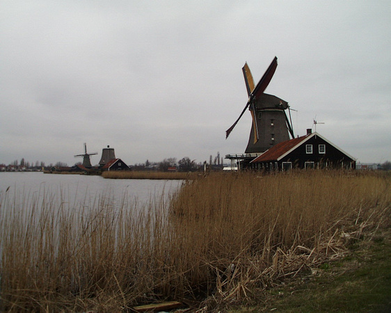 Dutch Windmills - February 1999